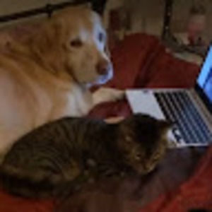 Meet your Posher, Kaya